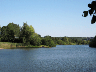 Baden1 Baden1