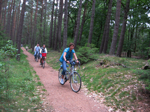 Radfahrer2 Radfahrer2
