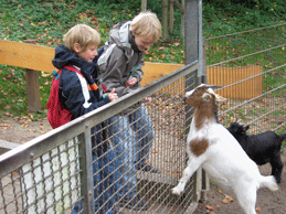 Tierpark2